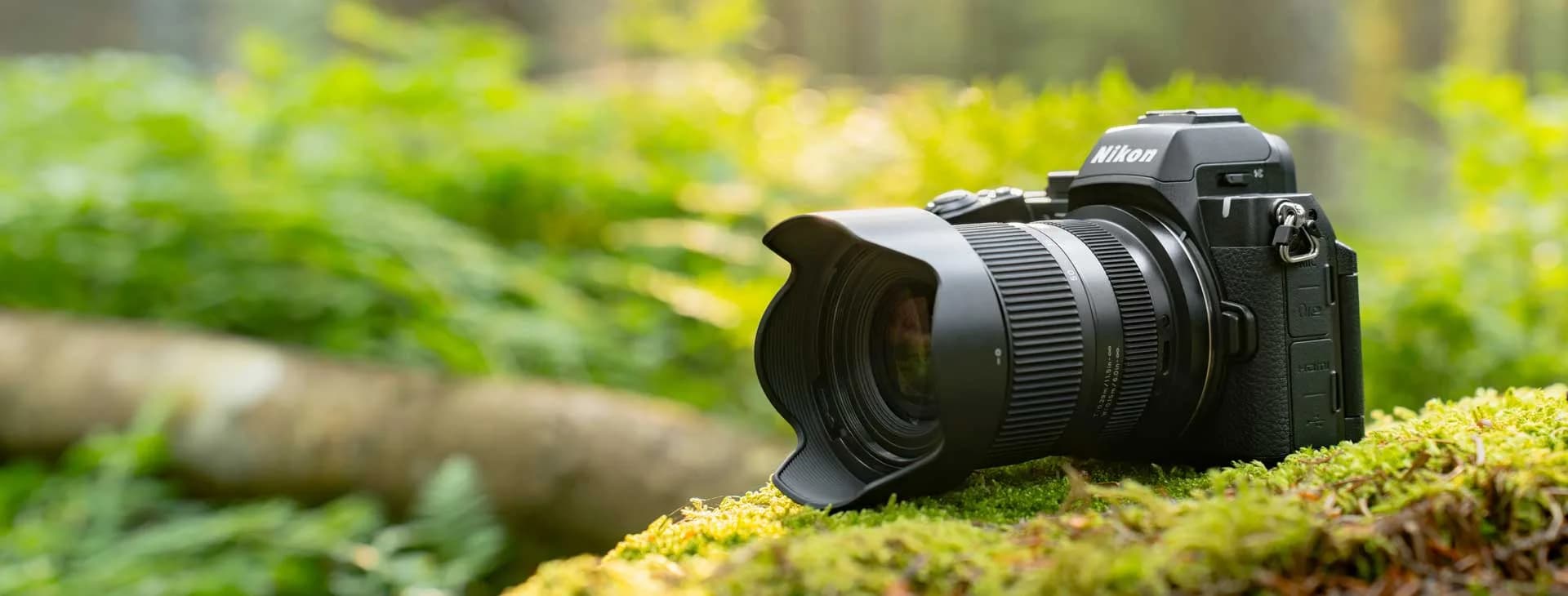 TAMRON 16-50mm F2.8 A (B091) Nikon Z fényképezőgépen, mohos fatörzsön