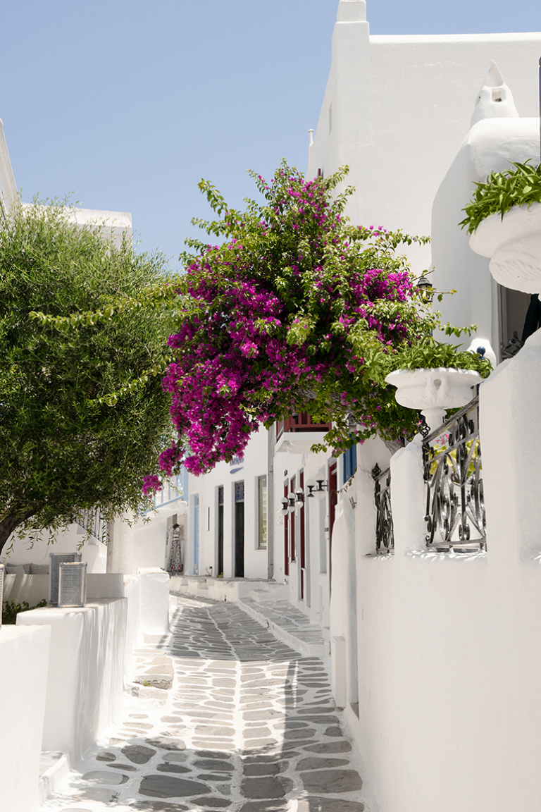 Tamron 25-200 sony e-mount